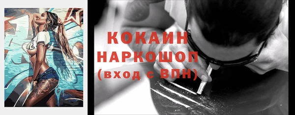гидра Корсаков