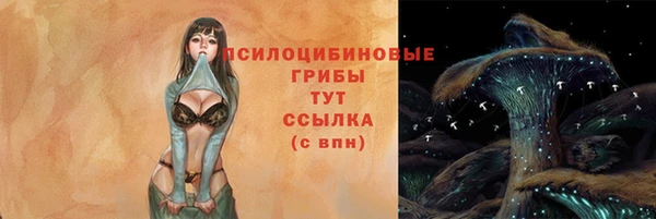 стафф Краснотурьинск