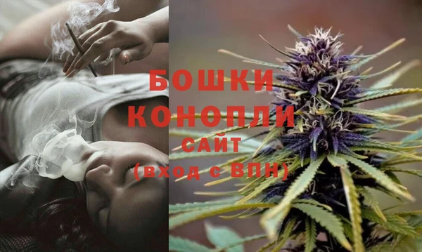 стафф Краснотурьинск