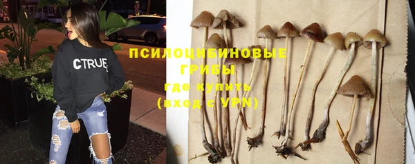 стафф Краснотурьинск