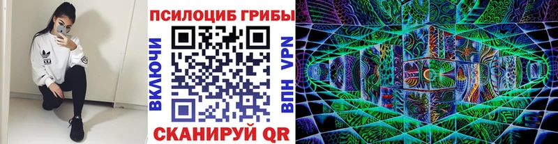 мега tor  Малмыж  Псилоцибиновые грибы Psilocybine cubensis  где продают наркотики 